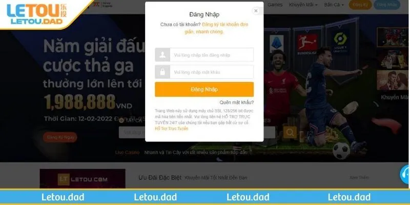 nhung luu y quan trong truoc khi thanh vien dang nhap letou Những lưu ý quan trọng trước khi thành viên đăng nhập LETOU