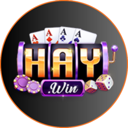 haywin top haywin top